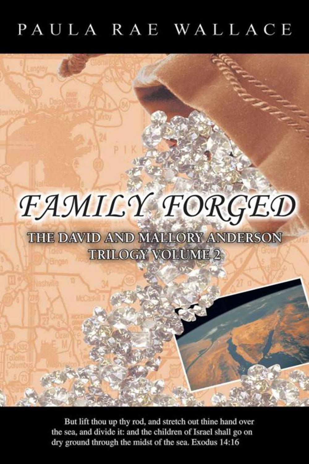 Big bigCover of Family Forged