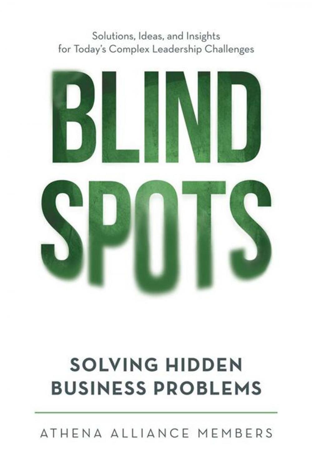 Big bigCover of Blind Spots