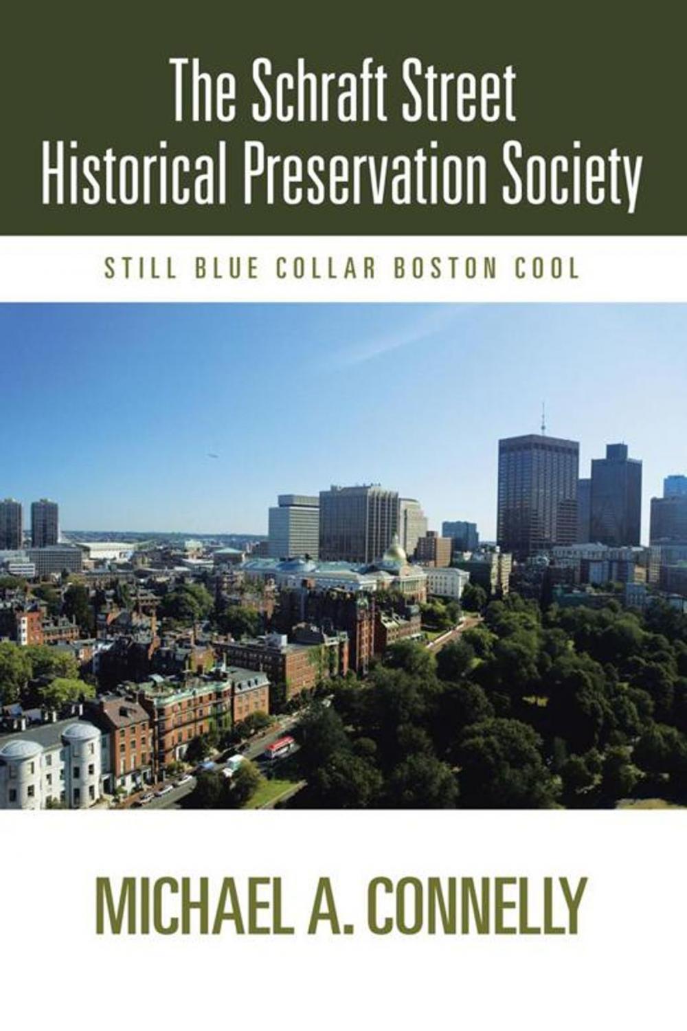 Big bigCover of The Schraft Street Historical Preservation Society