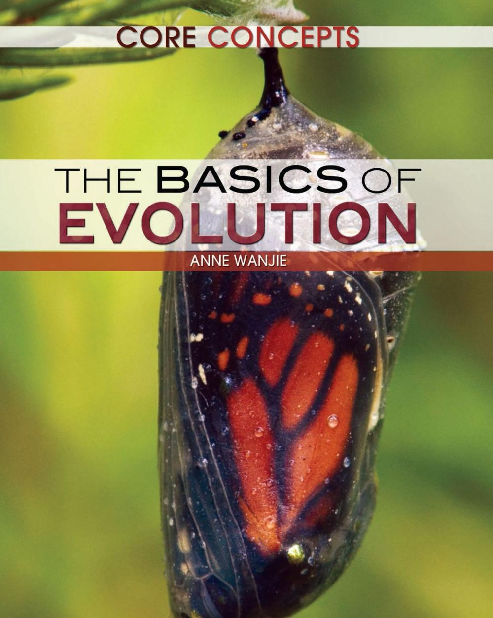 Big bigCover of The Basics of Evolution