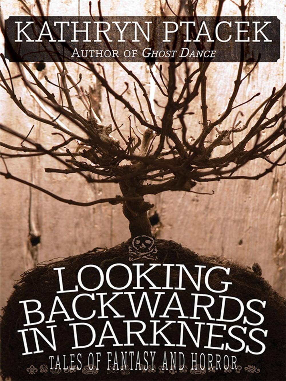 Big bigCover of Looking Backward in Darkness