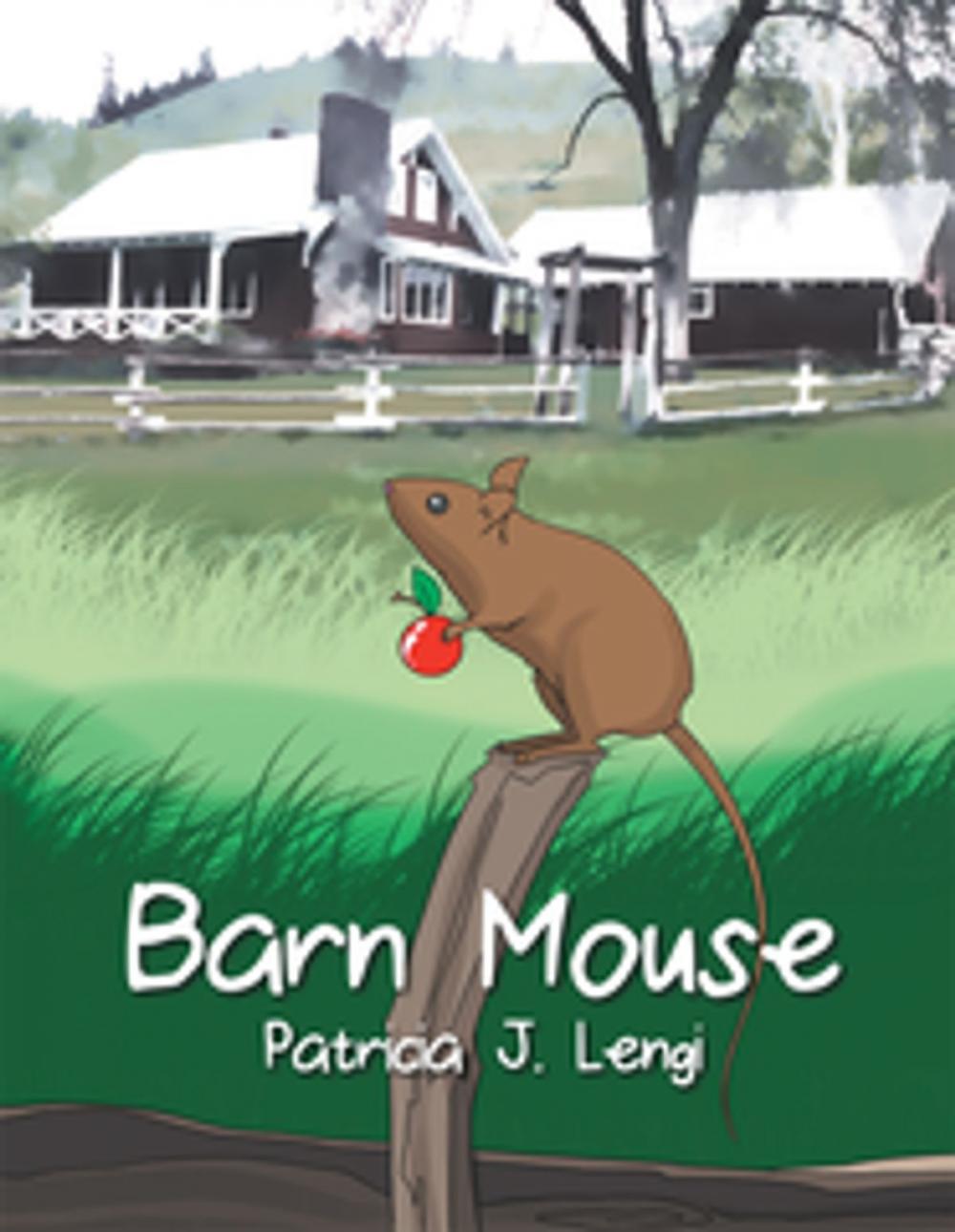 Big bigCover of Barn Mouse