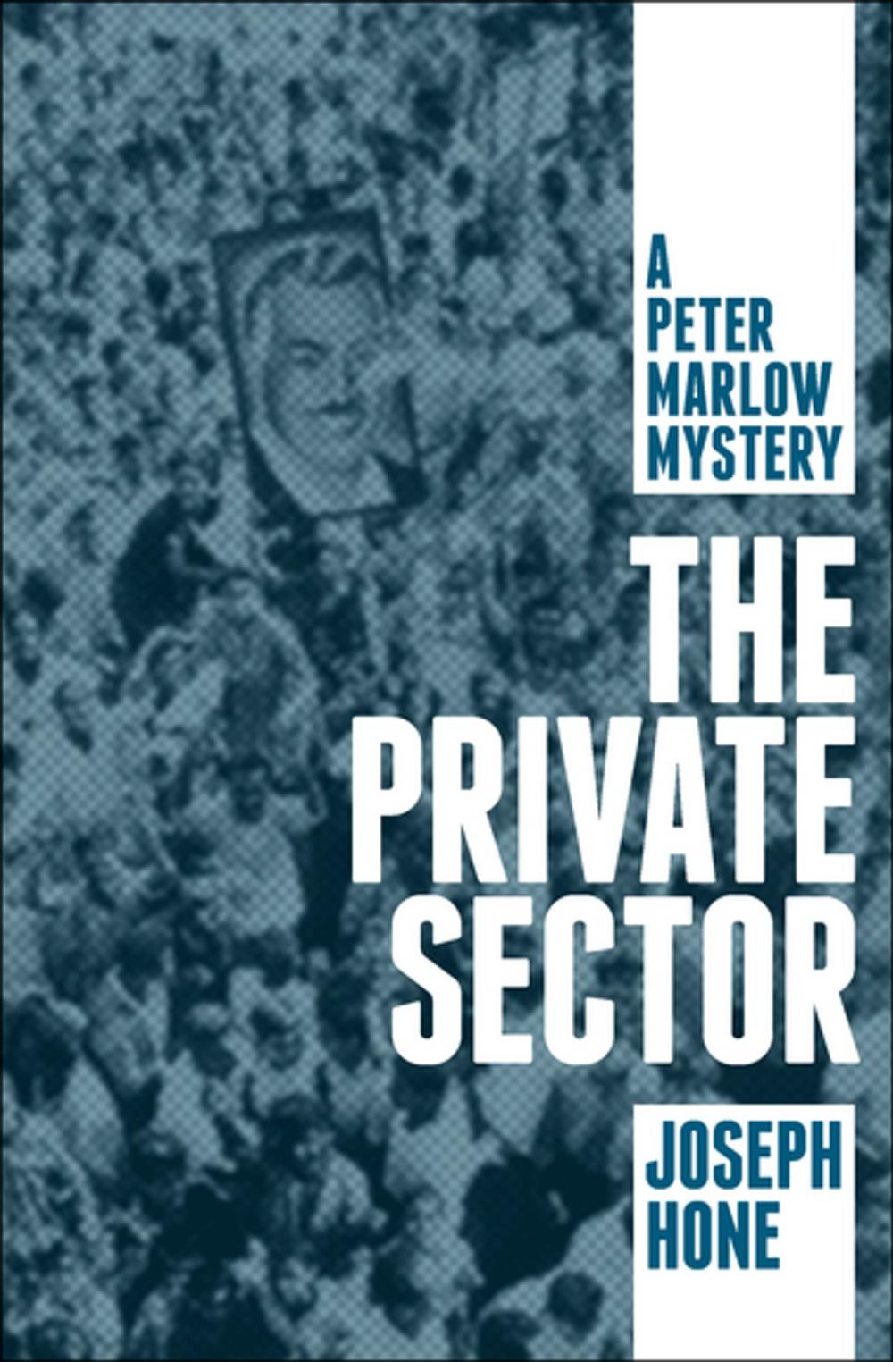 Big bigCover of The Private Sector