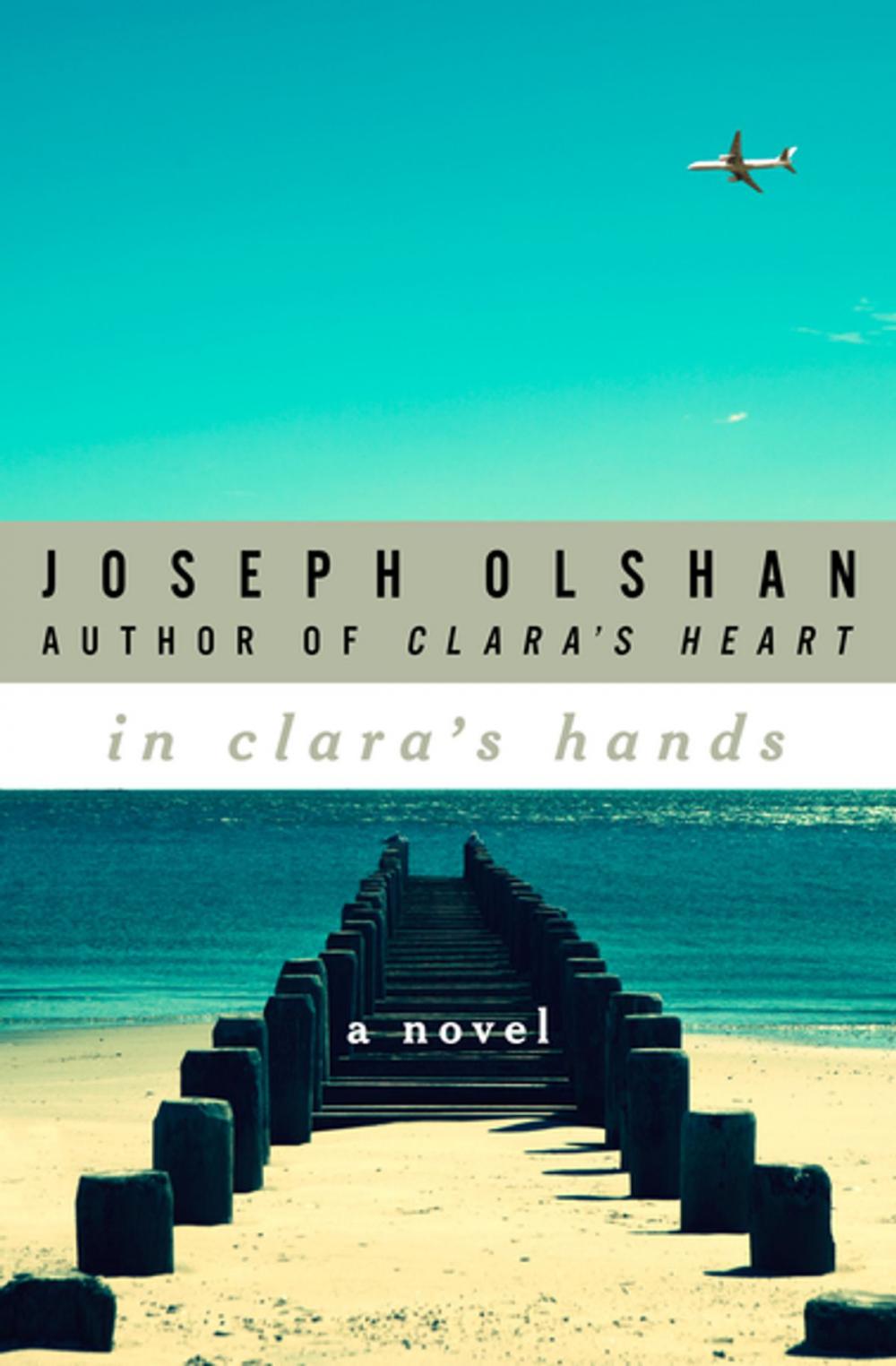 Big bigCover of In Clara's Hands