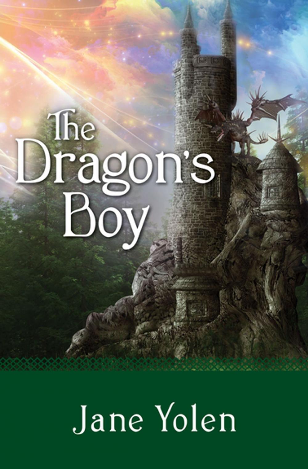 Big bigCover of The Dragon's Boy