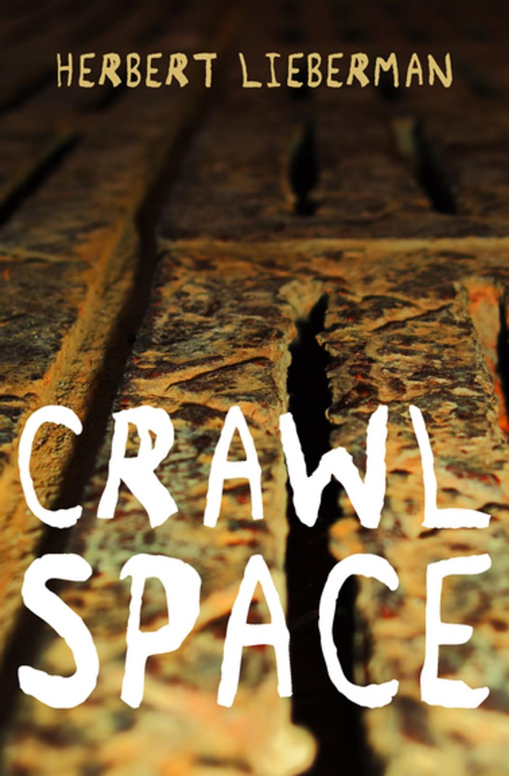 Big bigCover of Crawlspace