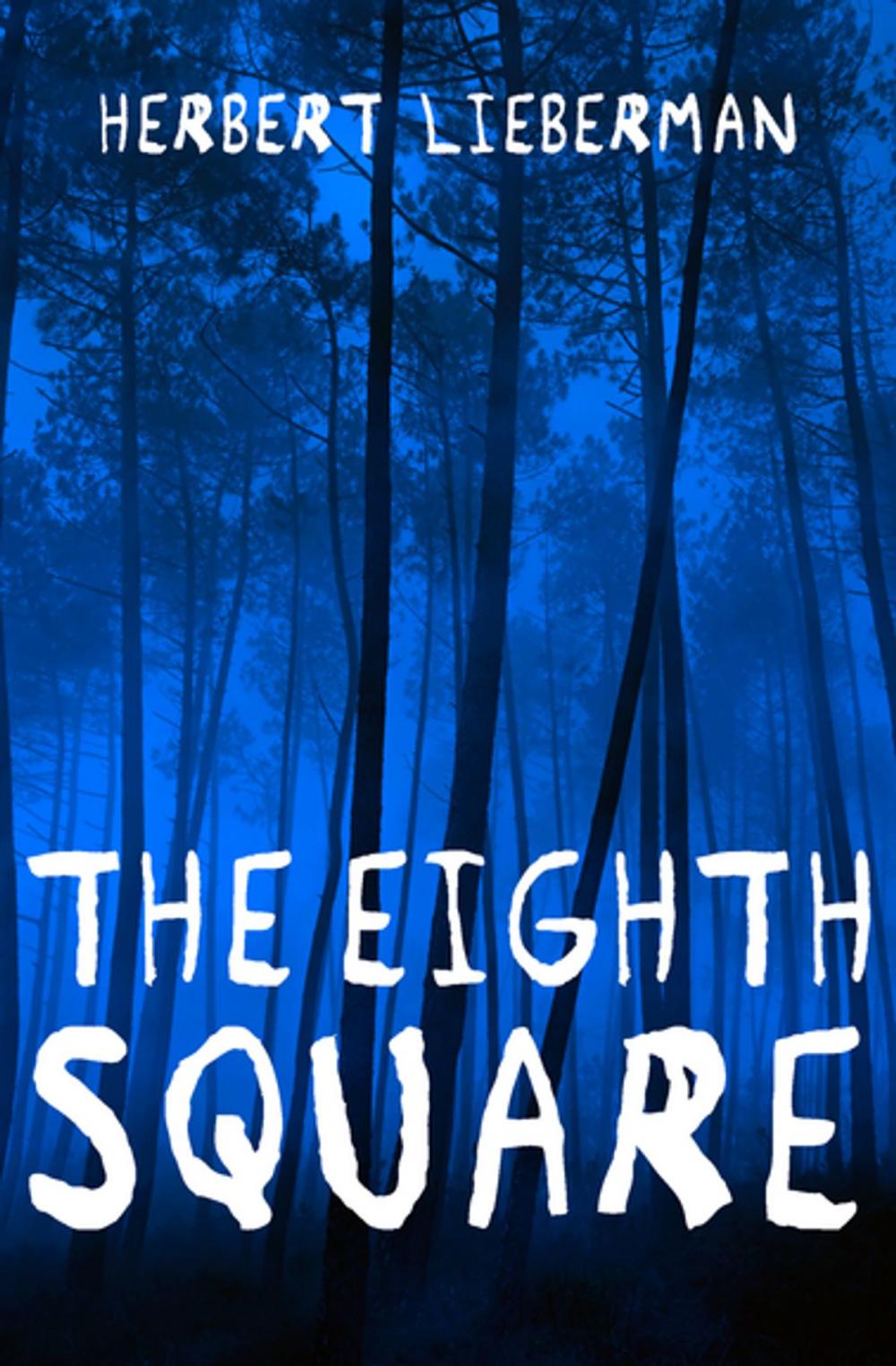 Big bigCover of The Eighth Square