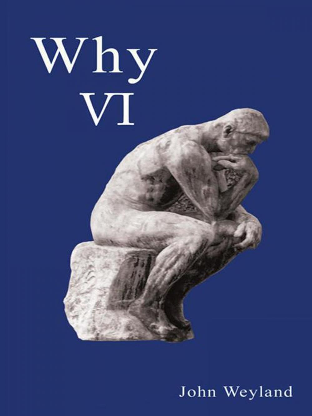 Big bigCover of Why Vi