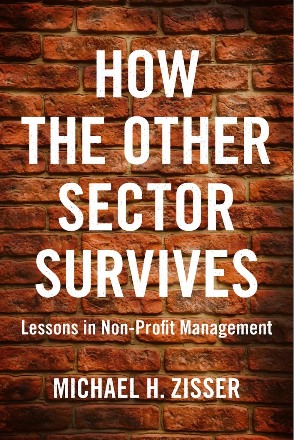 Big bigCover of How The Other Sector Survives