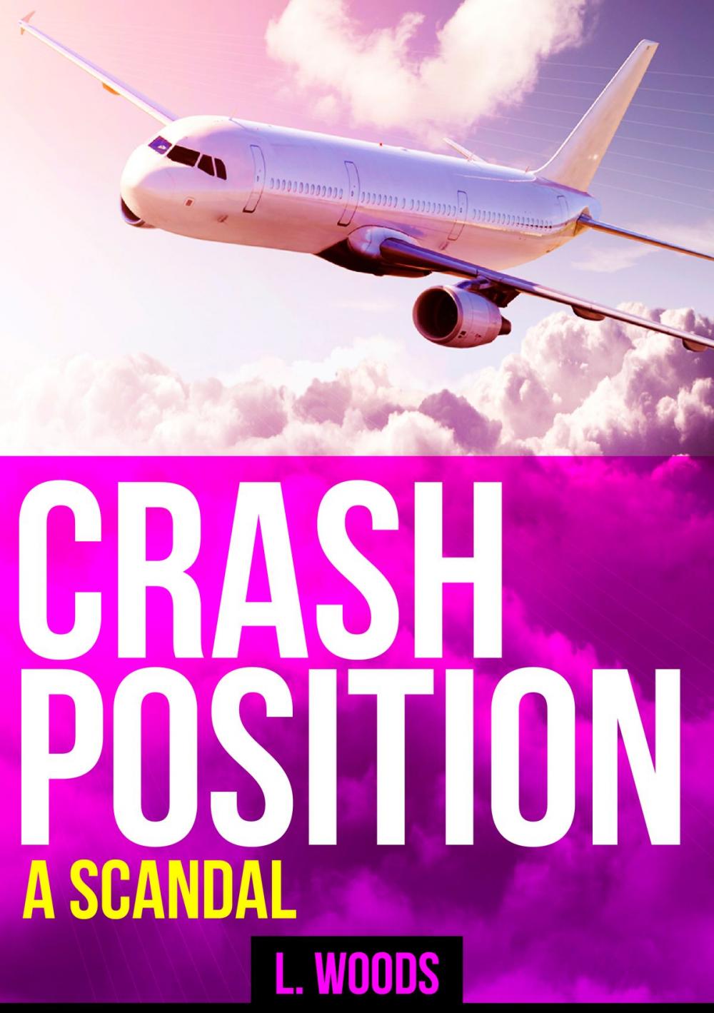 Big bigCover of Crash Position