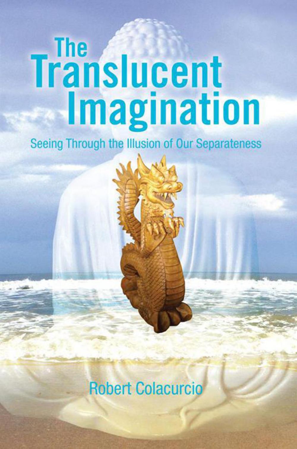 Big bigCover of The Translucent Imagination