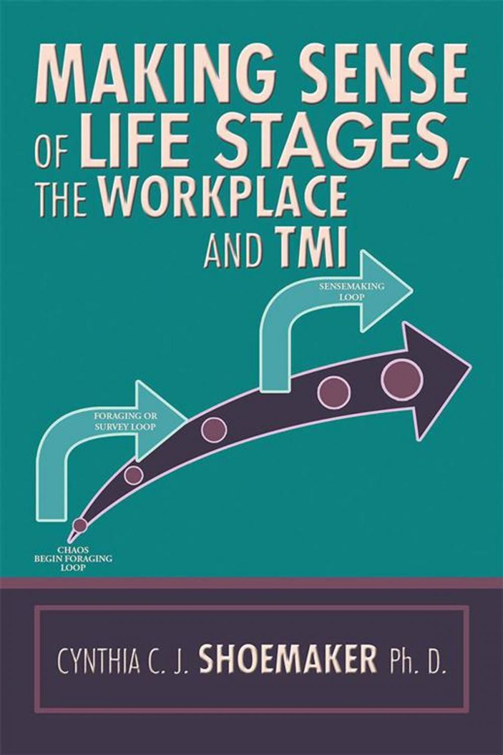 Big bigCover of Making Sense of Life Stages, the Workplace and Tmi