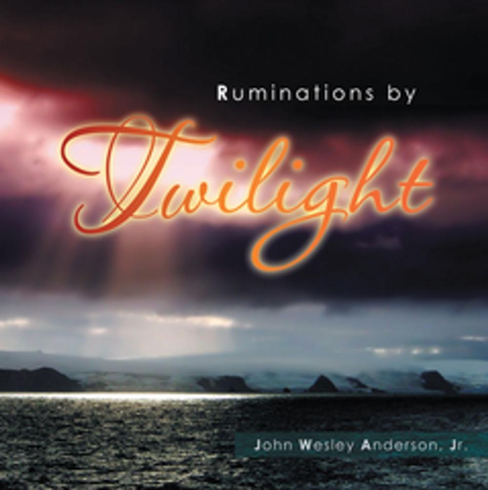 Big bigCover of Ruminations by Twilight