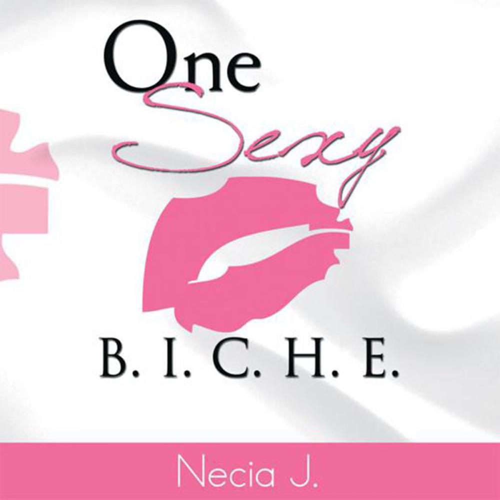 Big bigCover of One Sexy B. I. C. H. E.