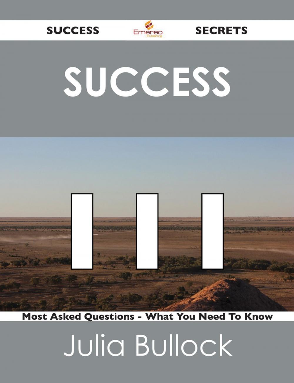 Big bigCover of Success 111 Success Secrets - 111 Most Asked Questions On Success - What You Need To Know