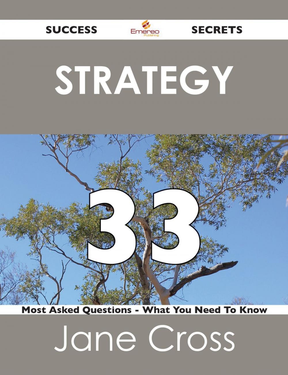 Big bigCover of Strategy 33 Success Secrets - 33 Most Asked Questions On Strategy - What You Need To Know