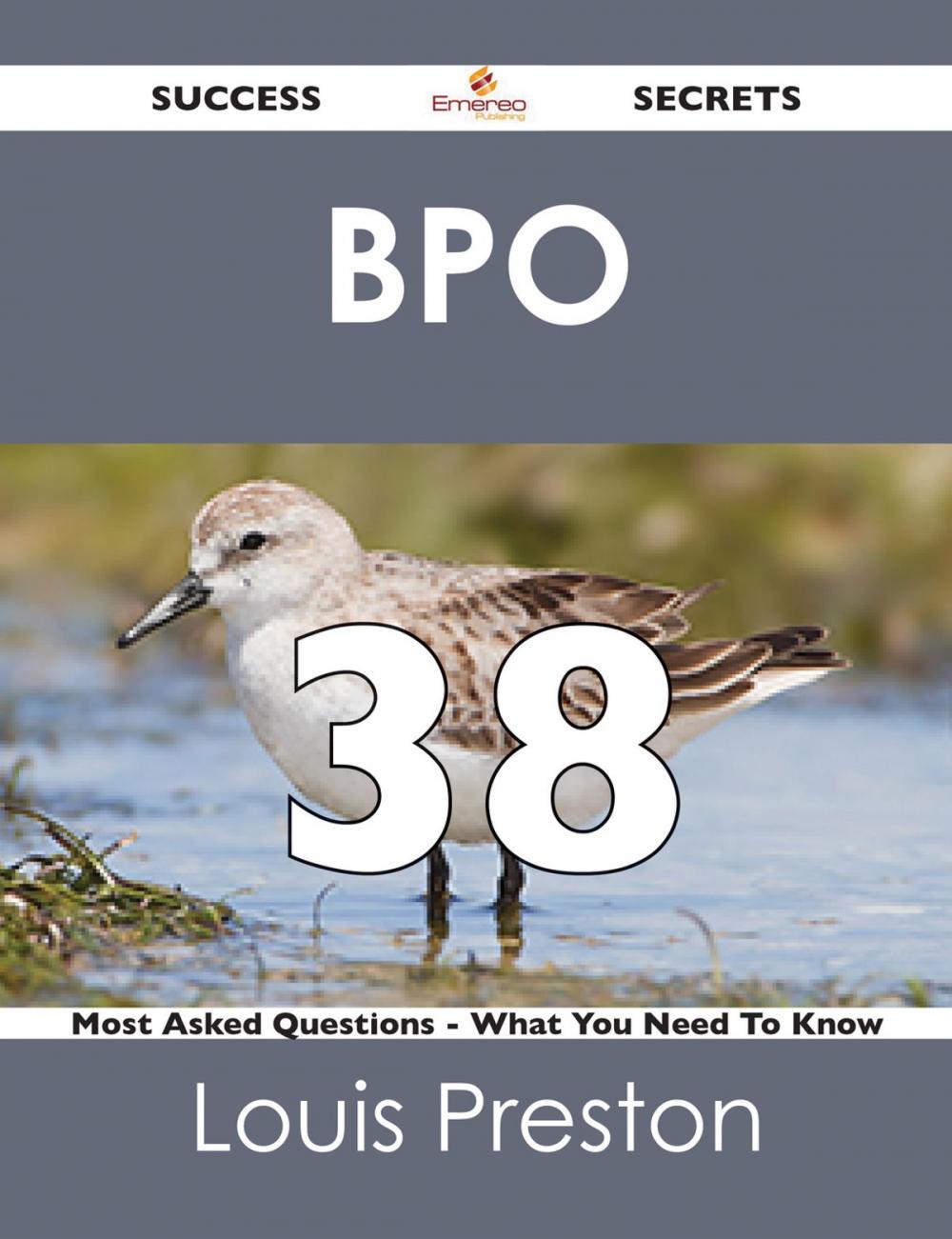 Big bigCover of BPO 38 Success Secrets - 38 Most Asked Questions On BPO - What You Need To Know