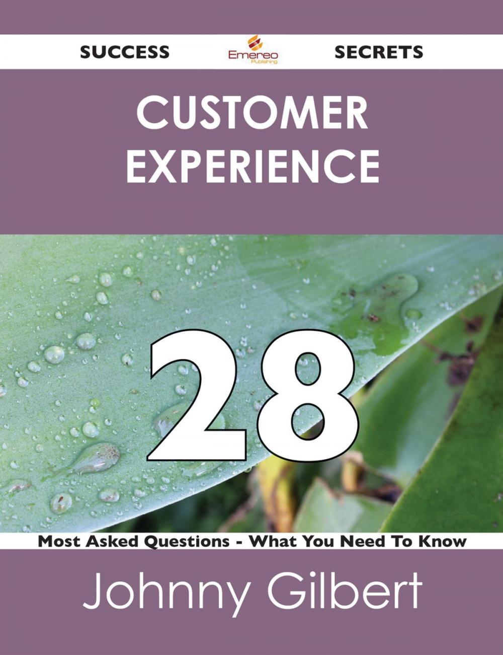 Big bigCover of Customer Experience 28 Success Secrets - 28 Most Asked Questions On Customer Experience - What You Need To Know