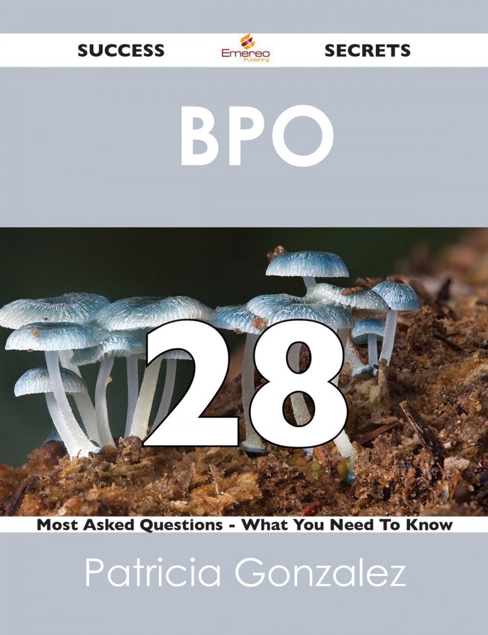 Big bigCover of BPO 28 Success Secrets - 28 Most Asked Questions On BPO - What You Need To Know