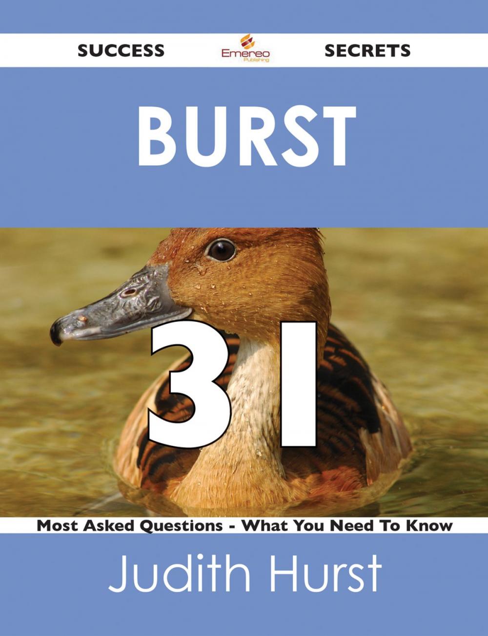 Big bigCover of Burst 31 Success Secrets - 31 Most Asked Questions On Burst - What You Need To Know