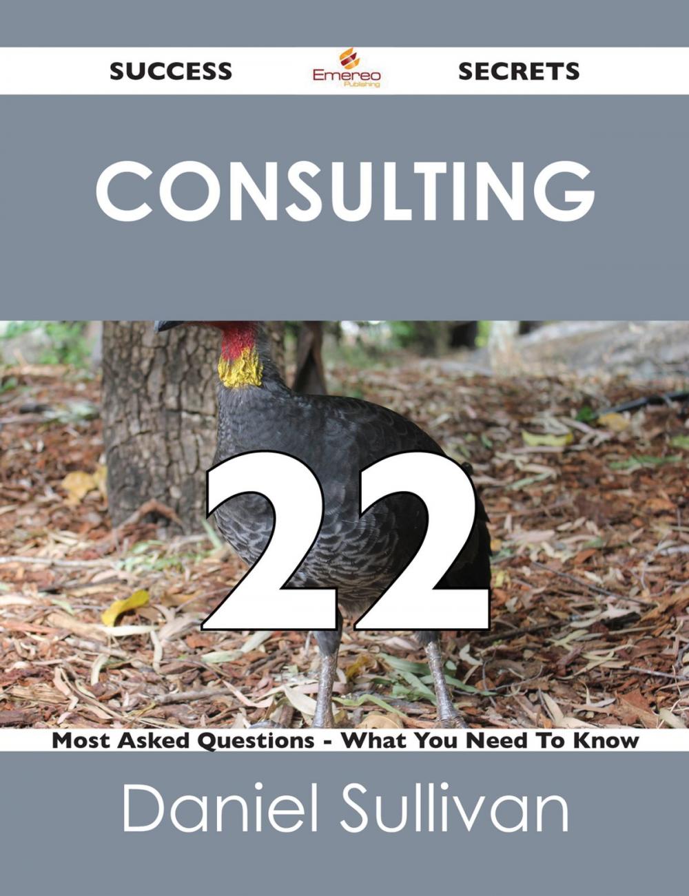 Big bigCover of Consulting 22 Success Secrets - 22 Most Asked Questions On Consulting - What You Need To Know