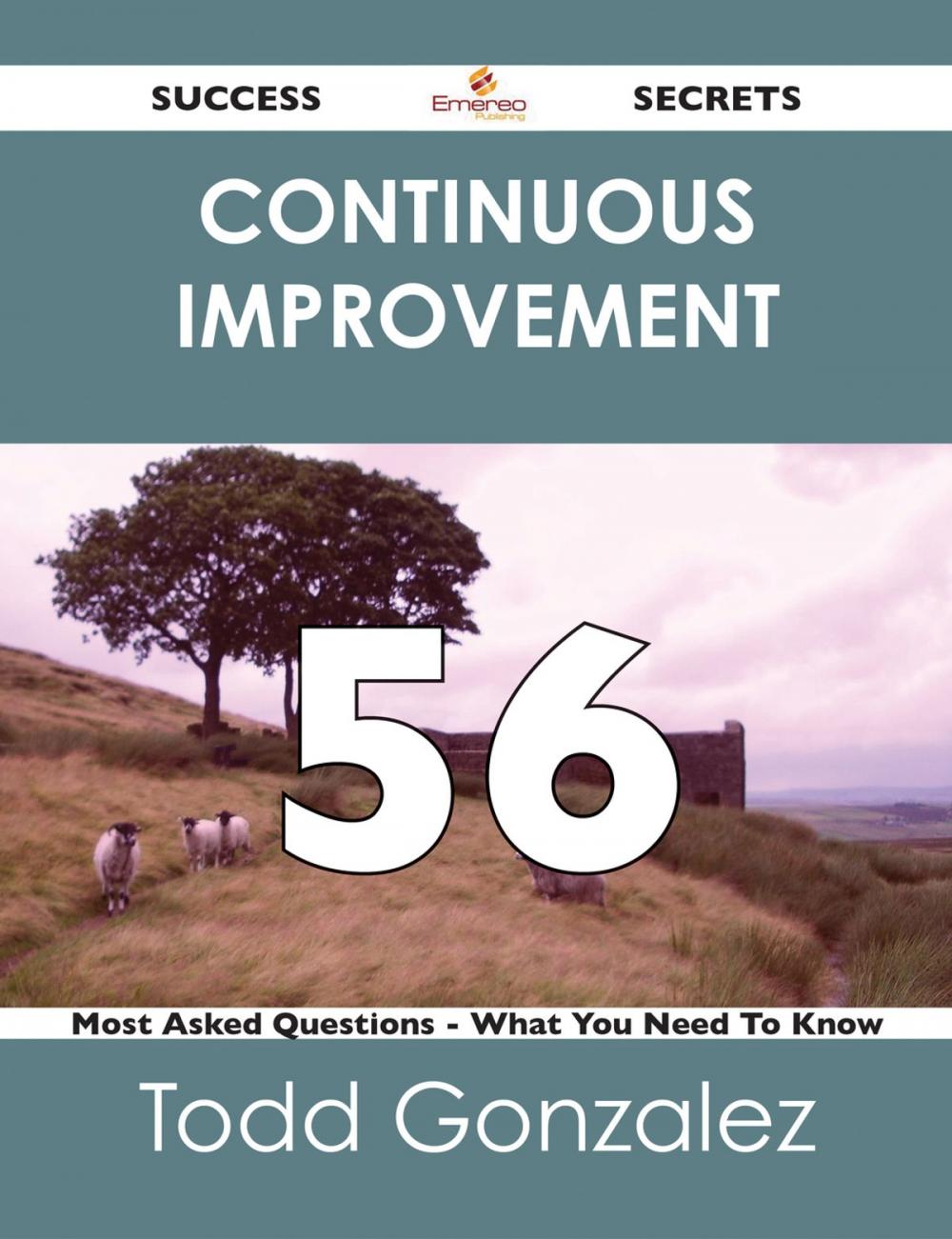 Big bigCover of continuous improvement 56 Success Secrets - 56 Most Asked Questions On continuous improvement - What You Need To Know