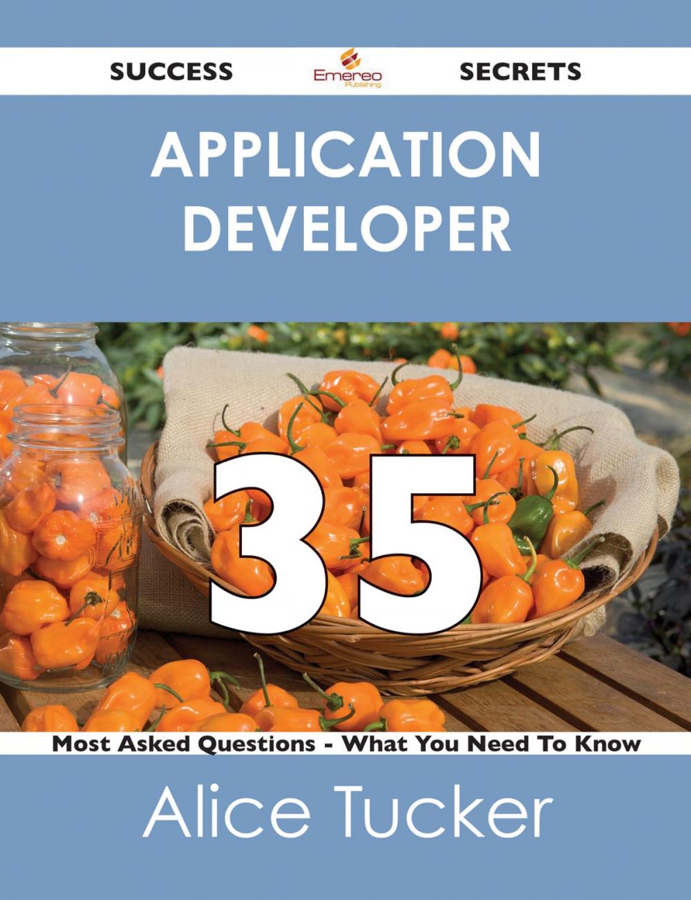 Big bigCover of application developer 35 Success Secrets - 35 Most Asked Questions On application developer - What You Need To Know