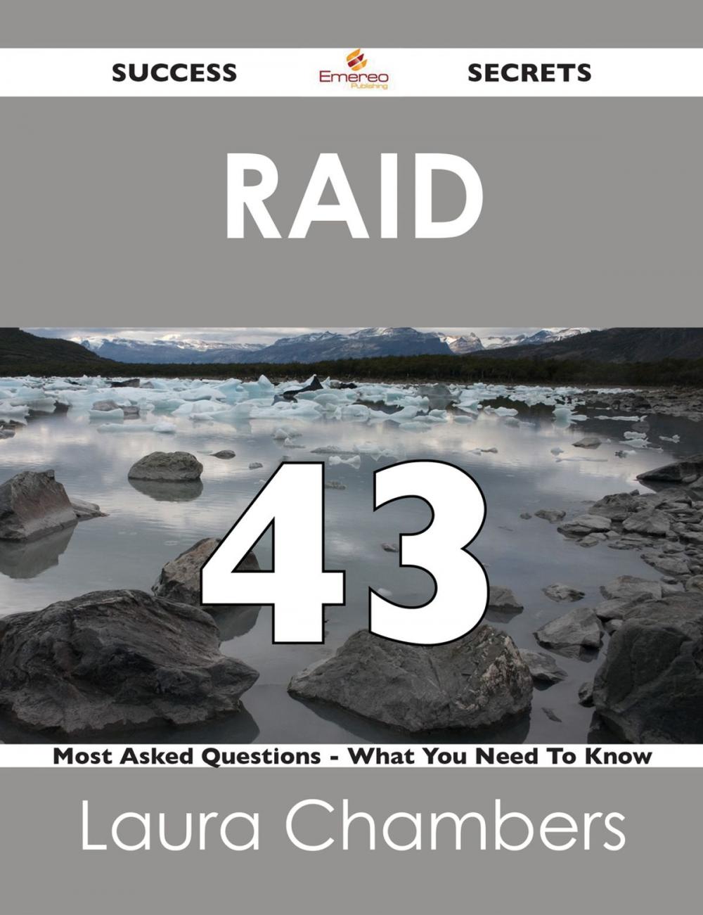 Big bigCover of RAID 43 Success Secrets - 43 Most Asked Questions On RAID - What You Need To Know