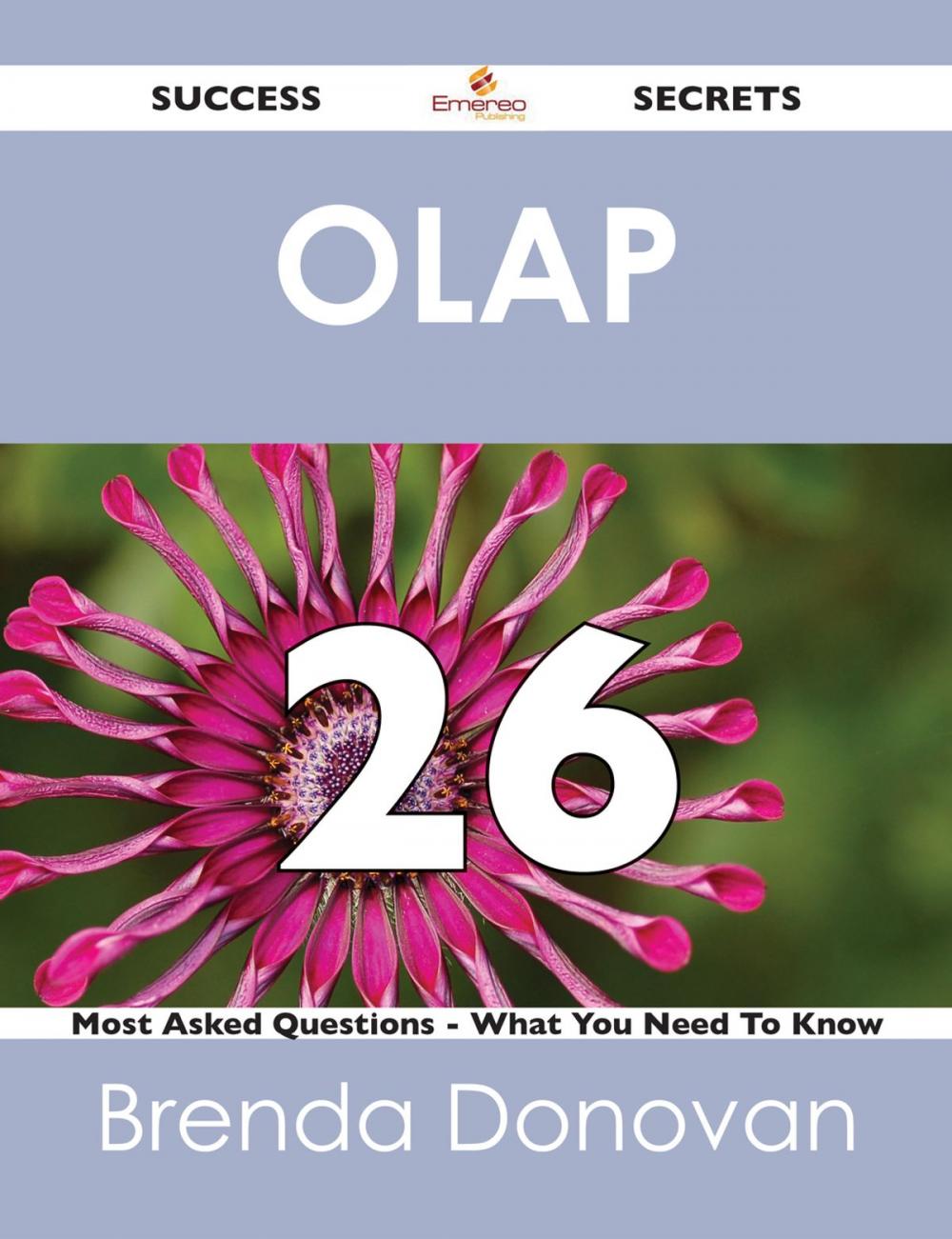 Big bigCover of OLAP 26 Success Secrets - 26 Most Asked Questions On OLAP - What You Need To Know