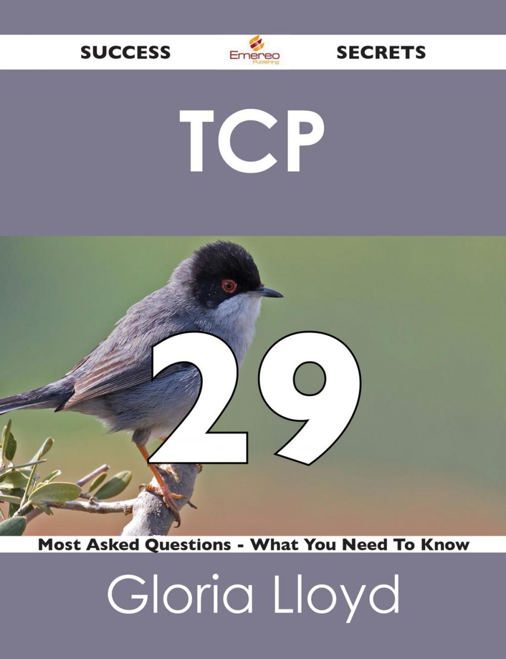 Big bigCover of TCP 29 Success Secrets - 29 Most Asked Questions On TCP - What You Need To Know