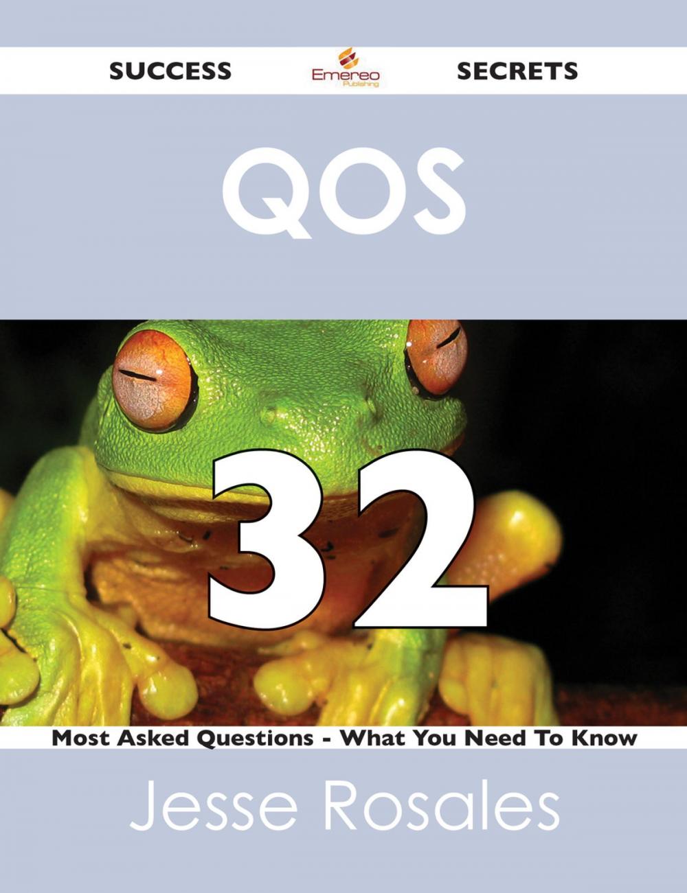 Big bigCover of QoS 32 Success Secrets - 32 Most Asked Questions On QoS - What You Need To Know