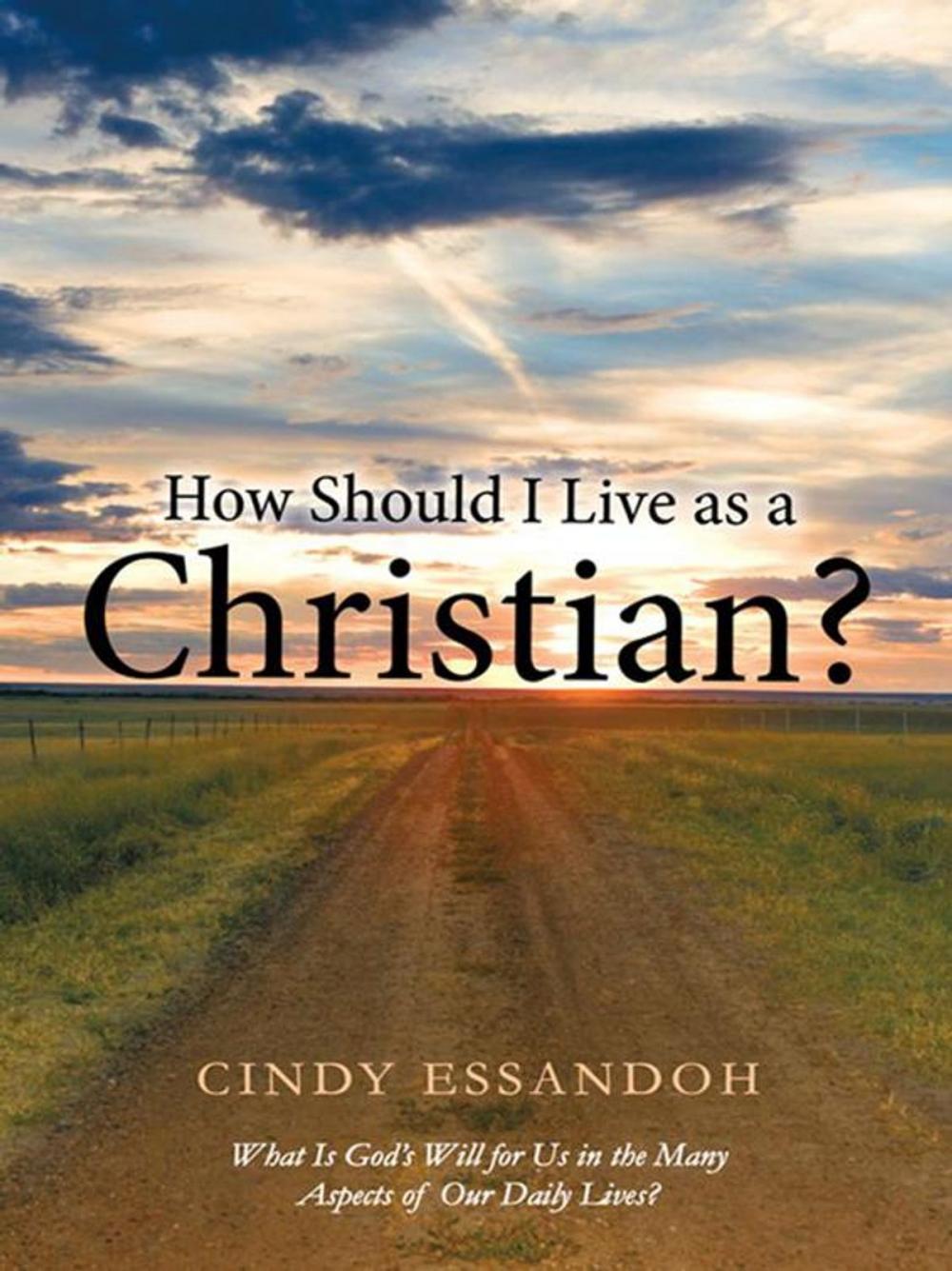 Big bigCover of How Should I Live as a Christian?