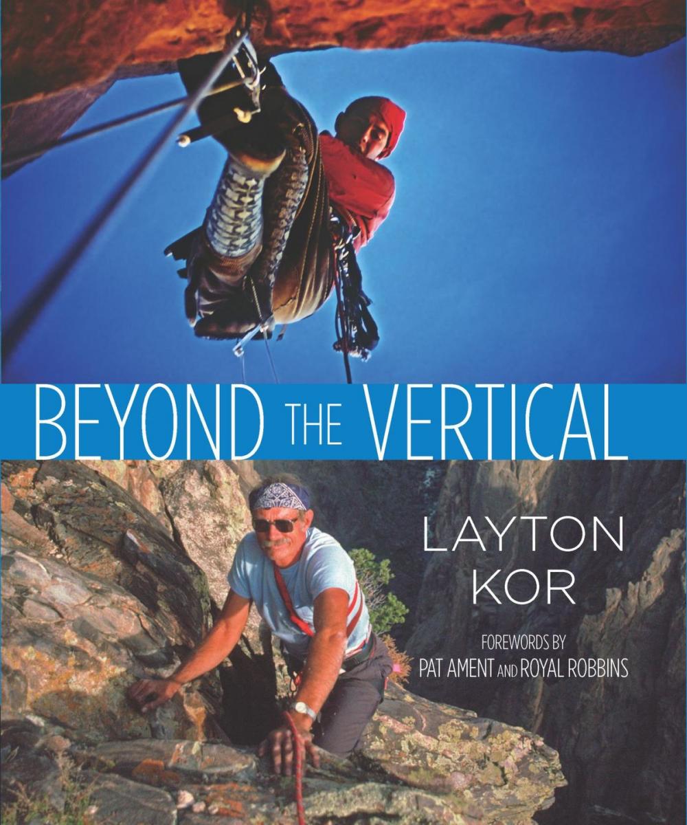 Big bigCover of Beyond the Vertical