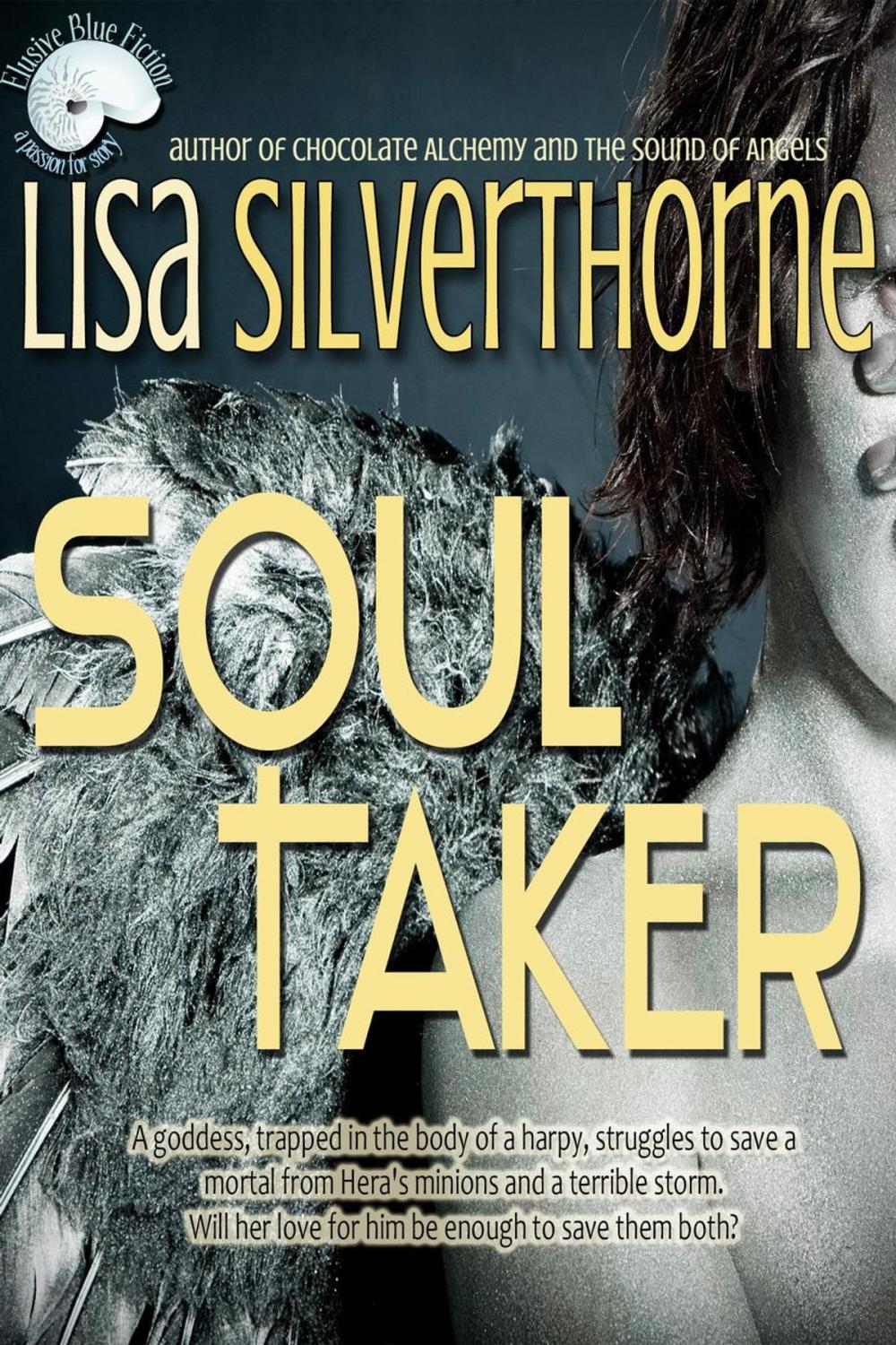 Big bigCover of Soul Taker