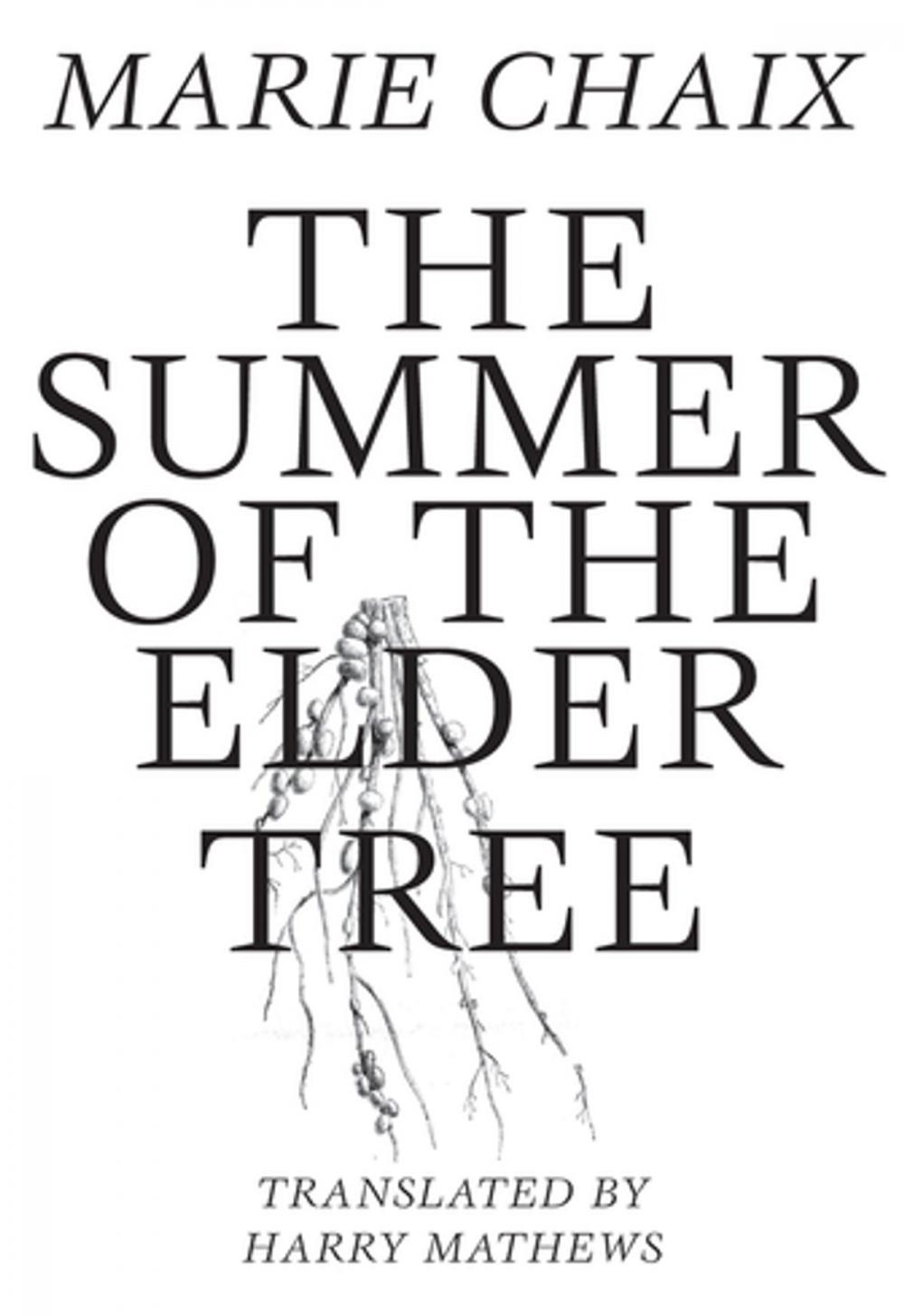 Big bigCover of Summer of the Elder Tree