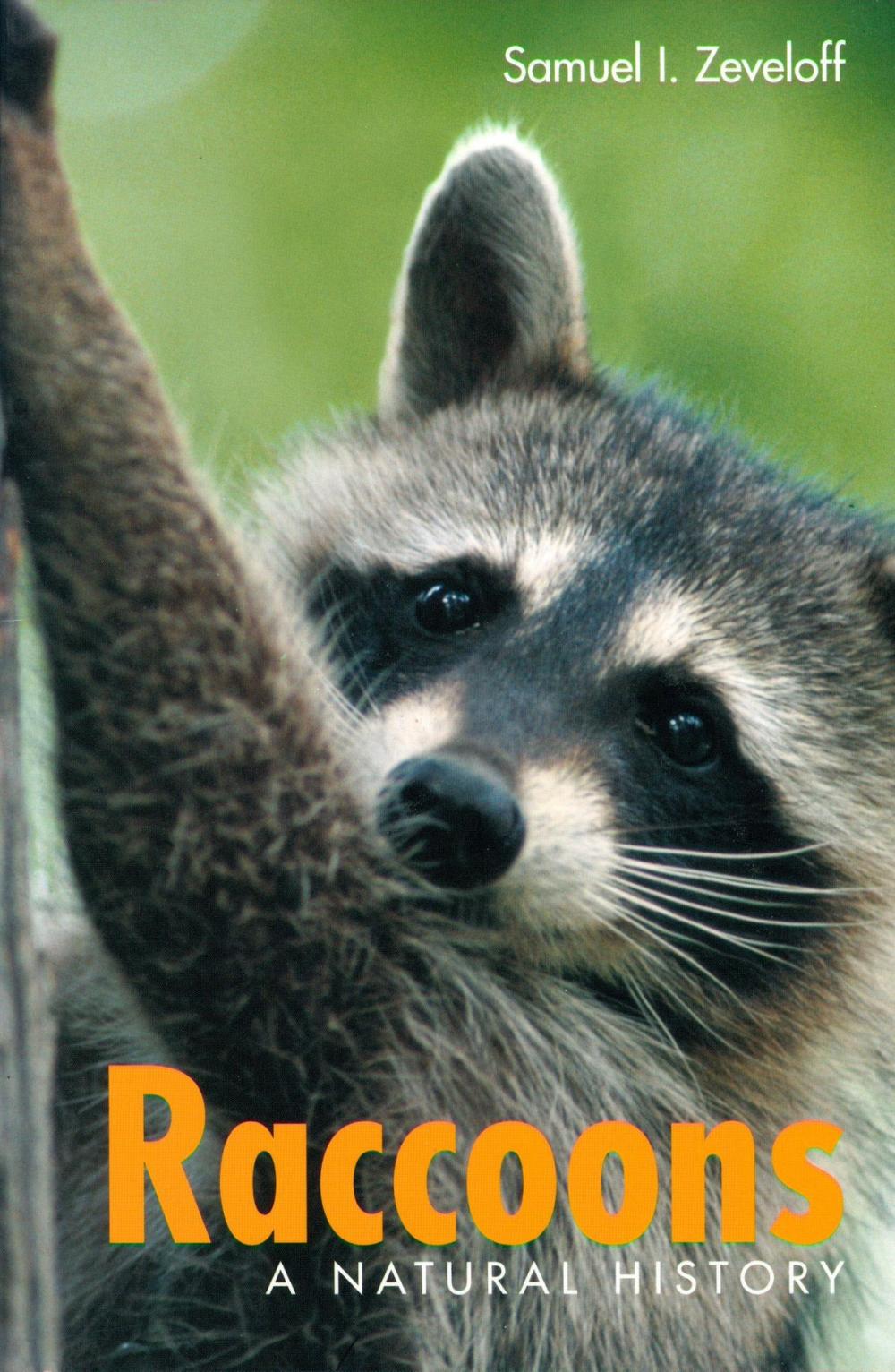 Big bigCover of Raccoons