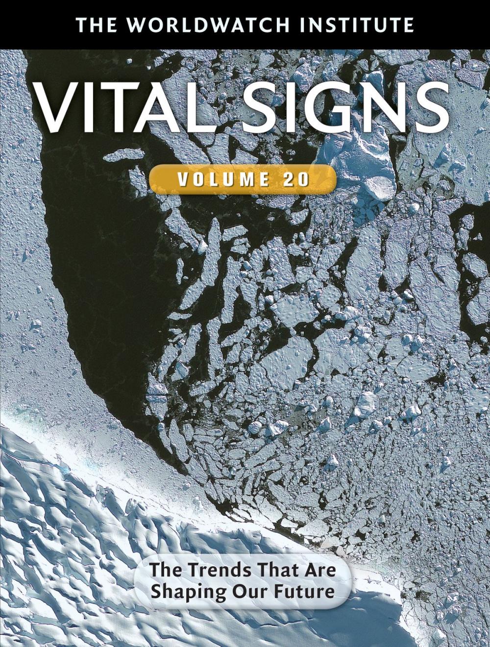 Big bigCover of Vital Signs Volume 20