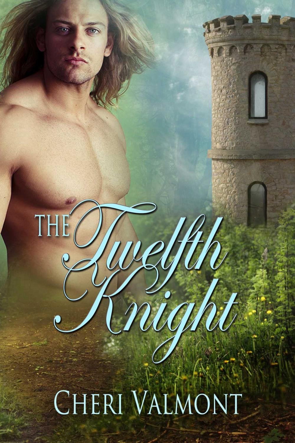 Big bigCover of The Twelfth Knight