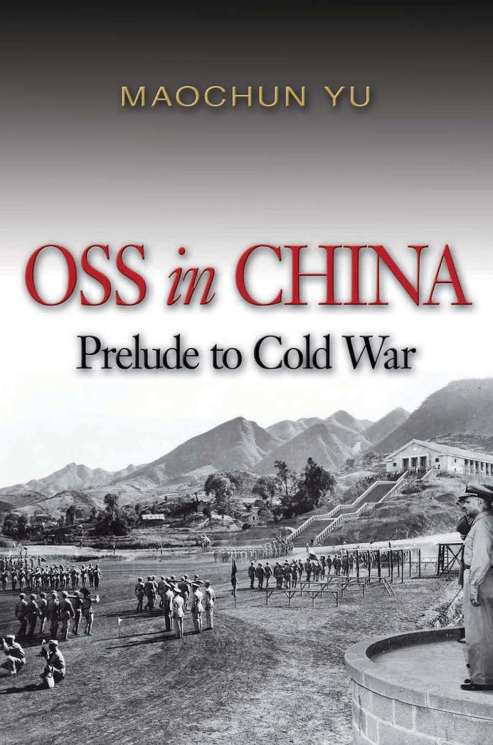 Big bigCover of OSS in China