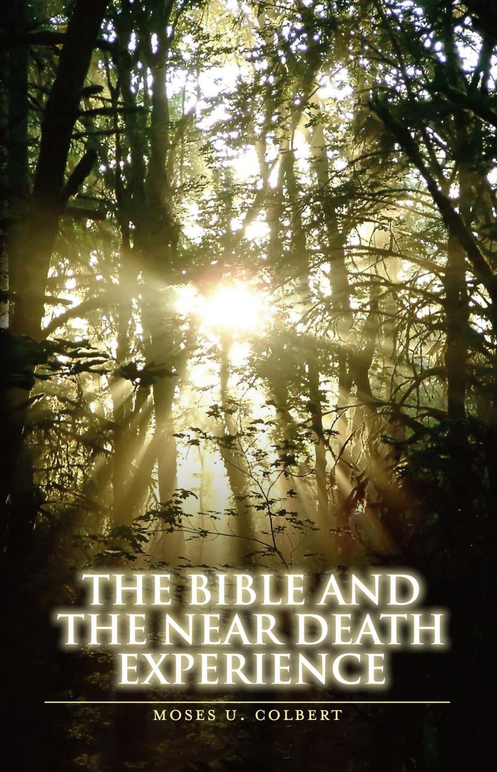 Big bigCover of The Bible and the Near-Death Experience