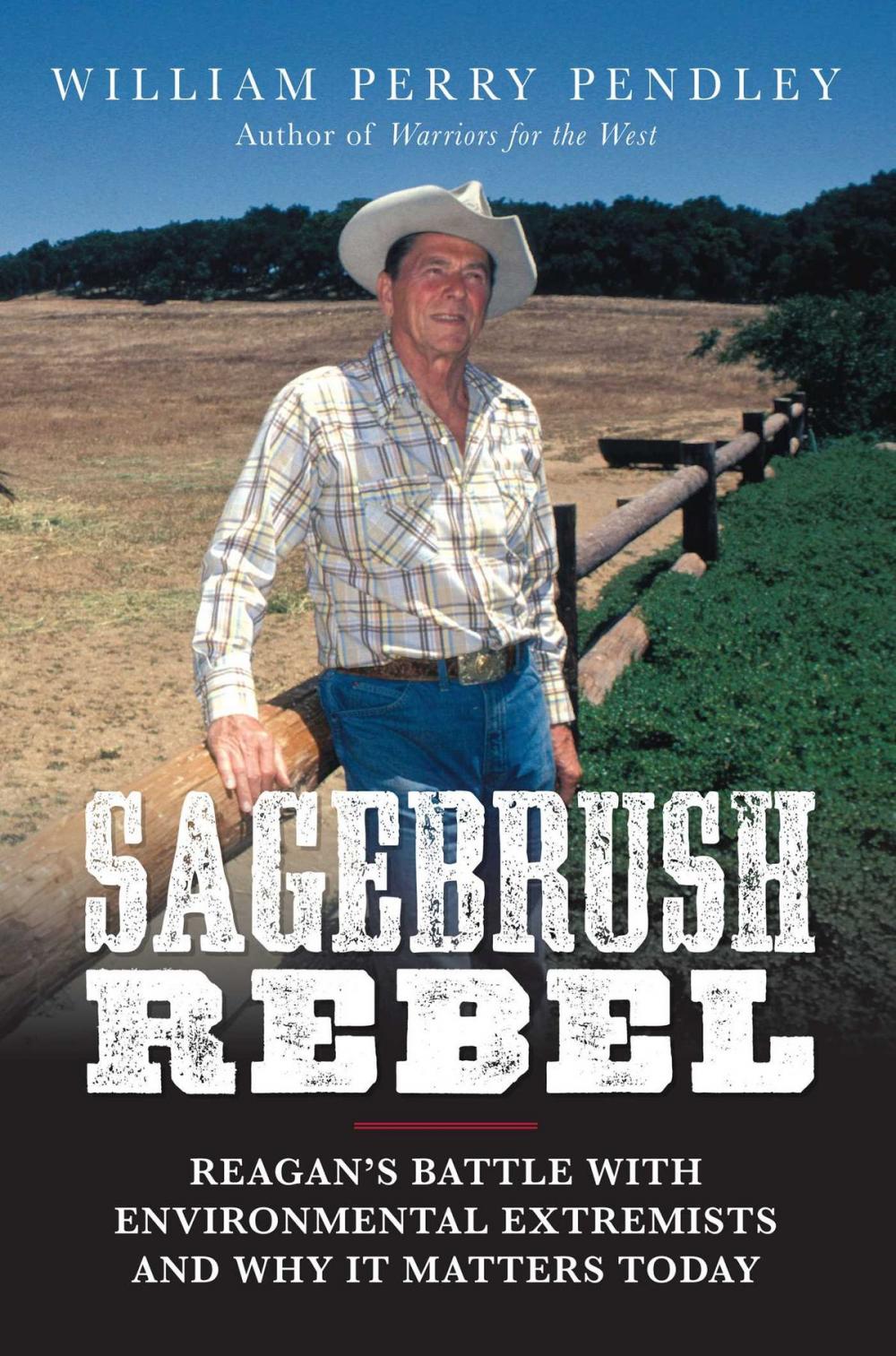 Big bigCover of Sagebrush Rebel