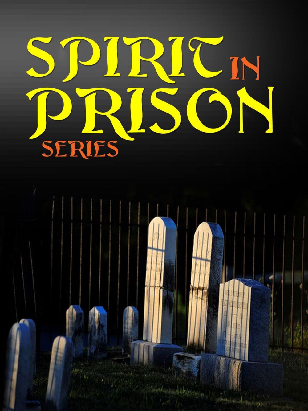 Big bigCover of SPIRIT IN PRISON SERIES