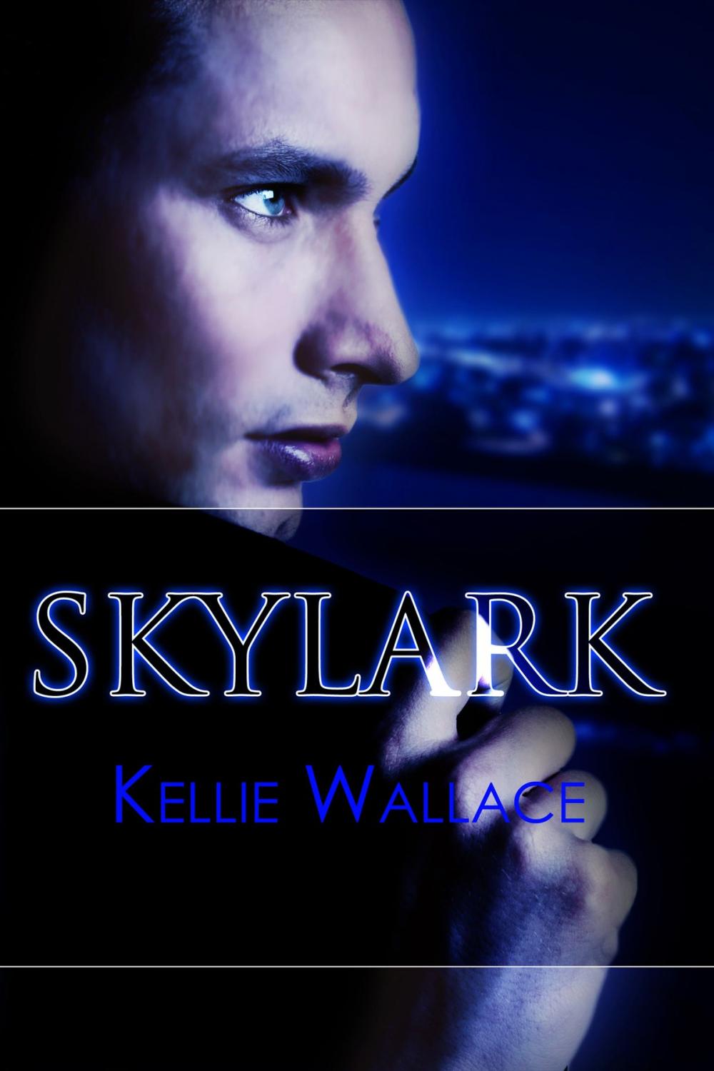 Big bigCover of Skylark