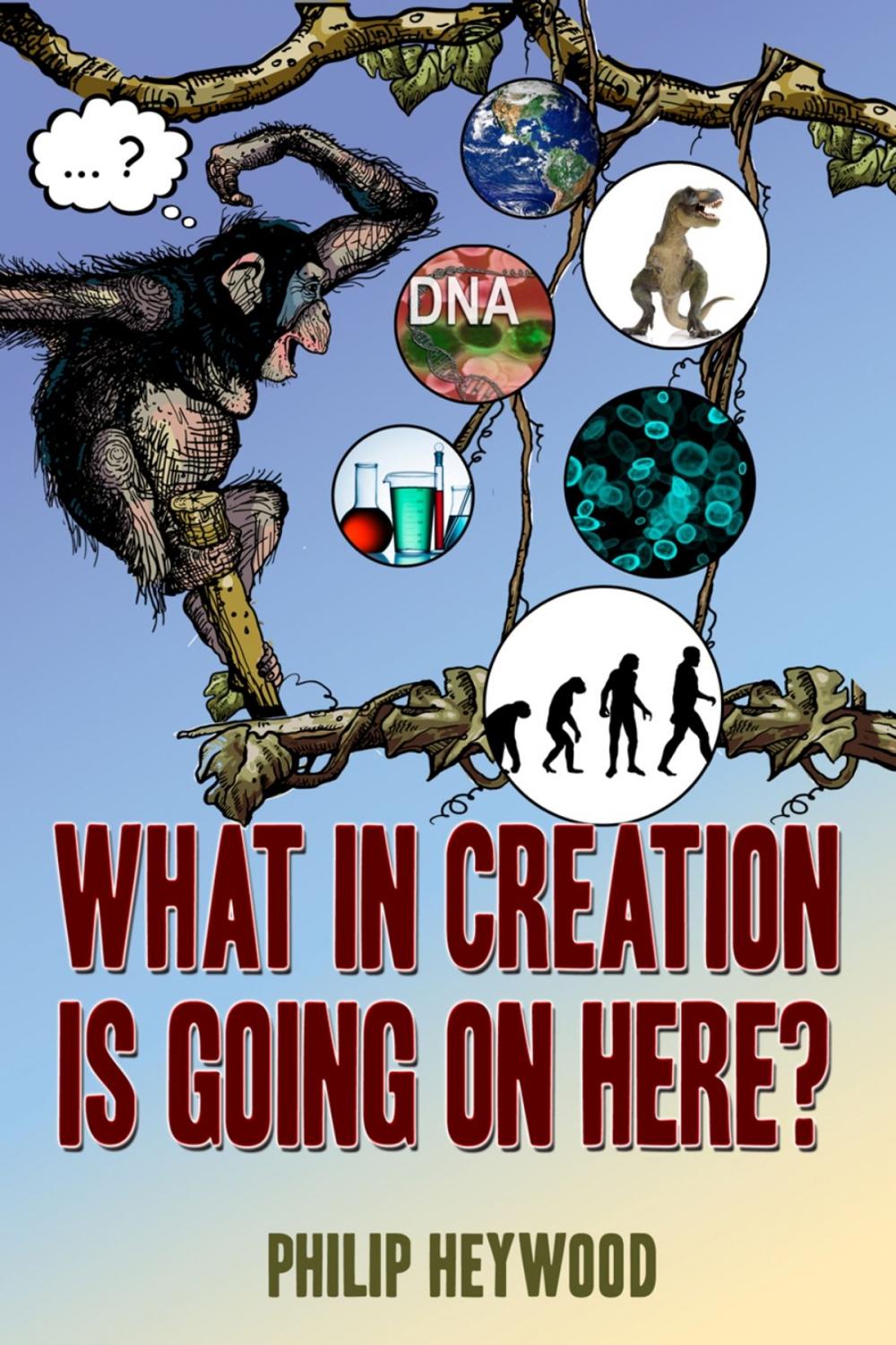 Big bigCover of What In Creation Is Going On Here?