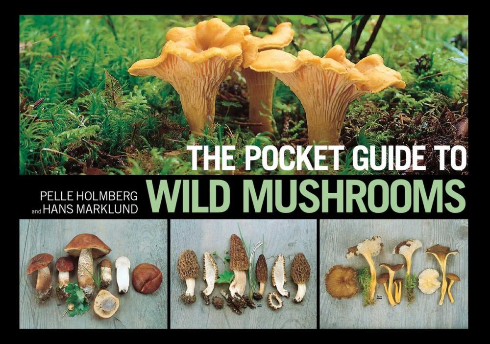 Big bigCover of The Pocket Guide to Wild Mushrooms