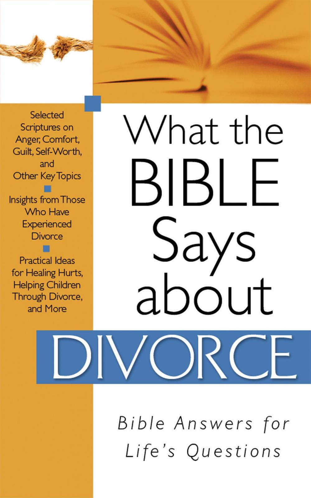 Big bigCover of What The Bible Says About Divorce