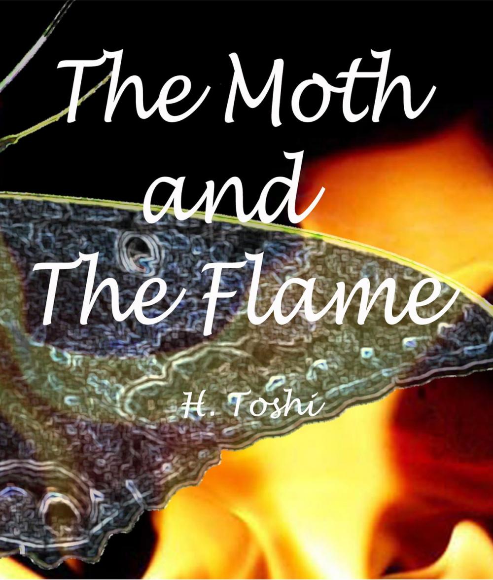 Big bigCover of The Moth and The Flame