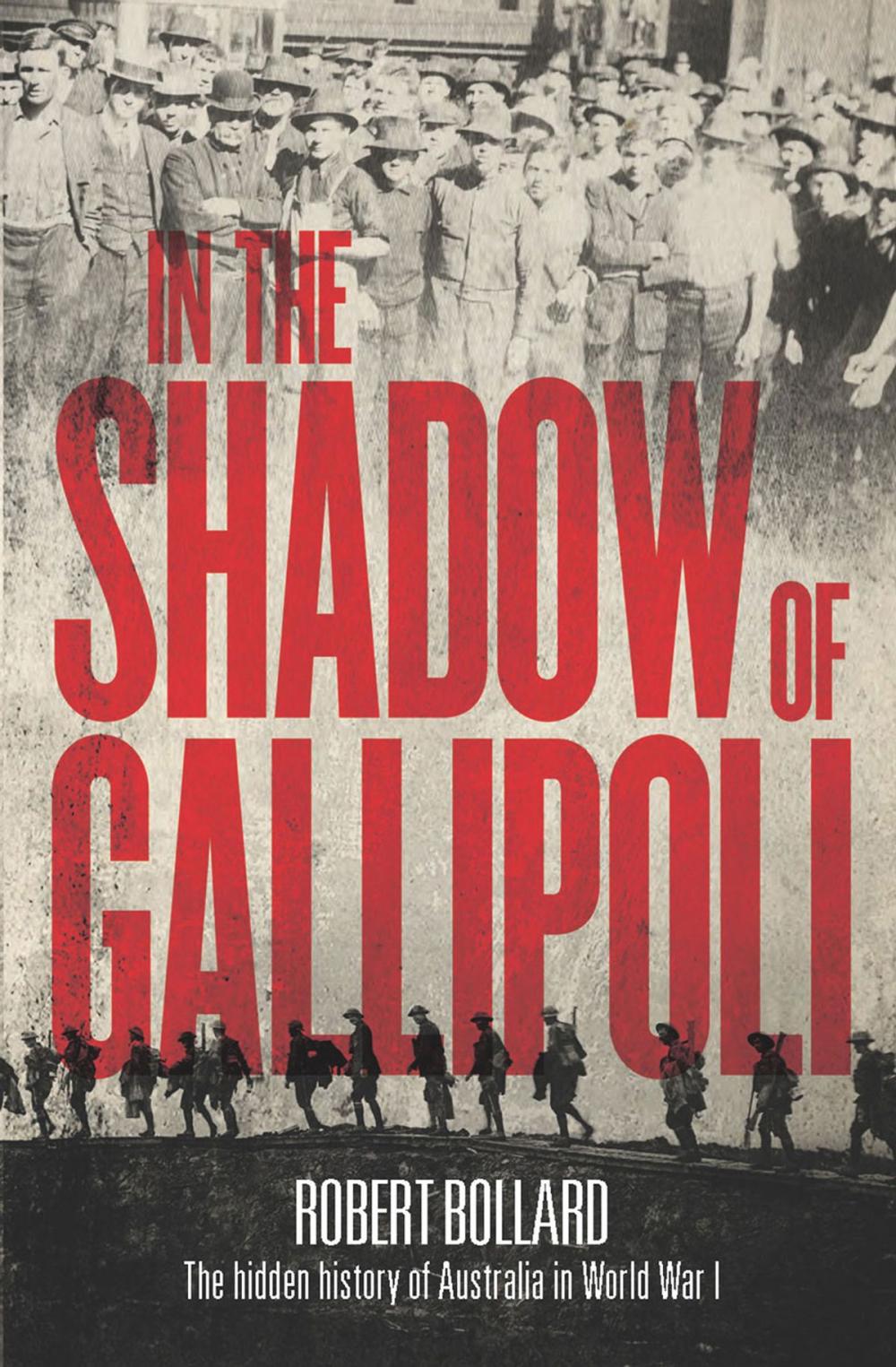 Big bigCover of In the Shadow of Gallipoli