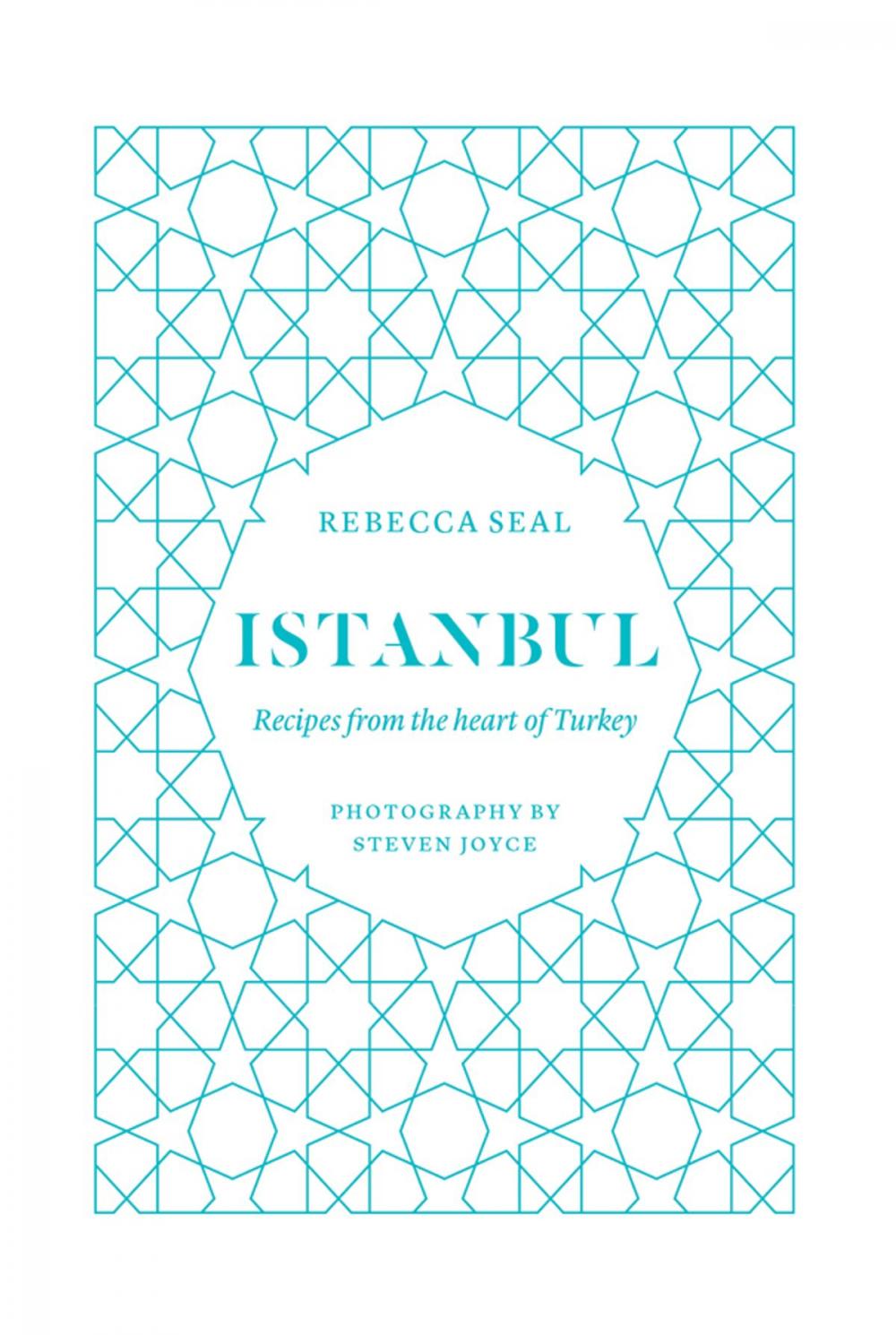 Big bigCover of Istanbul