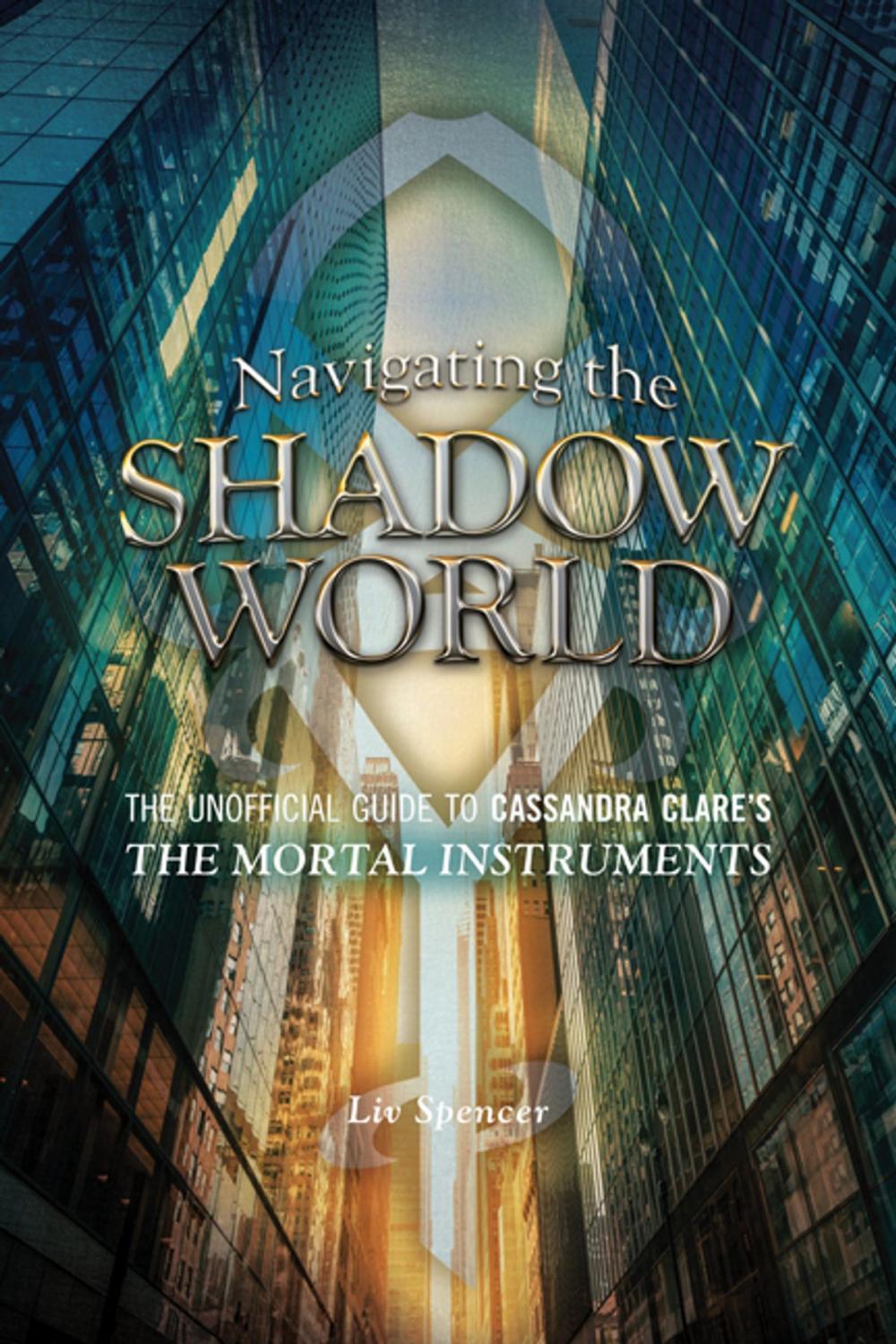 Big bigCover of Navigating the Shadow World